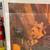 Vintage CAMELOT Door Panel Movie Poster 7 thumbnail