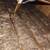 Spray foam insulation services: attic and crawlspace, walls and roof 15 thumbnail