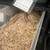 WESTERN HOGNOSE PAIR 6 thumbnail