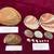 Seashells, Shells, Abalone, Haliotis 1 thumbnail