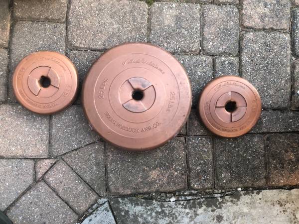 Vintage Sears Roebuck Ted Williams signature Vinyl 35lbs (25lb) 2 (5lb 1