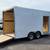 2027 8.5x16TA Eclosed Trailer White GVWR 9990 LB 4 thumbnail
