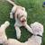 Goldendoodle puppy 14 thumbnail