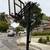 Free Lifetime Basketball Hoop 1 thumbnail