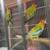 Rosellas 2 thumbnail