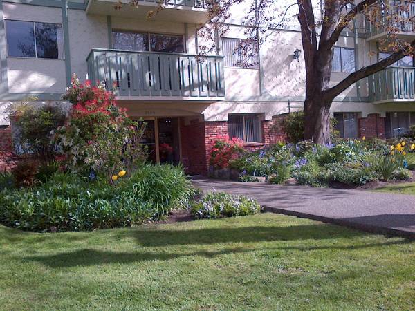 Oak Bay 1 bedroom apartment- rent includes heat, hydro, hot water! 1