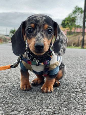 Need a loving home 1