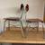 School Chairs (Three Total) 3 thumbnail