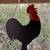 Rooster Wall Art 1 thumbnail