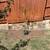 ONE TIME YARD  CLEAN UP , 11 thumbnail