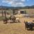 Farm animals 3 thumbnail