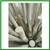 Arteriors Tilda White Chandelier, Small 8 thumbnail