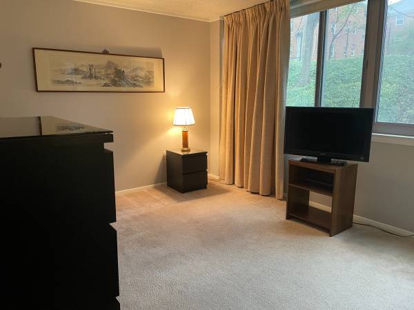 $900 / 2br - 1140ft2 - Master bedroom with priv. bath for rent (Arlington)64040194030209120