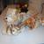 Steiff Stuffed Animals 7 thumbnail