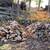 Firewood Service - from NEPA, to northern NJ and the Mid-Hudson Valley 11 thumbnail