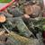 Mark’s Junk Removal & Demolition LLC 18 thumbnail