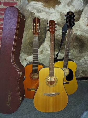 Three guitars one deluxe case 1