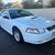 2000 Ford Mustang Convertible 1 thumbnail