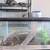 Reptiles and complete setups 7 thumbnail