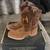 Cowboy boots 11.5 M 2 thumbnail