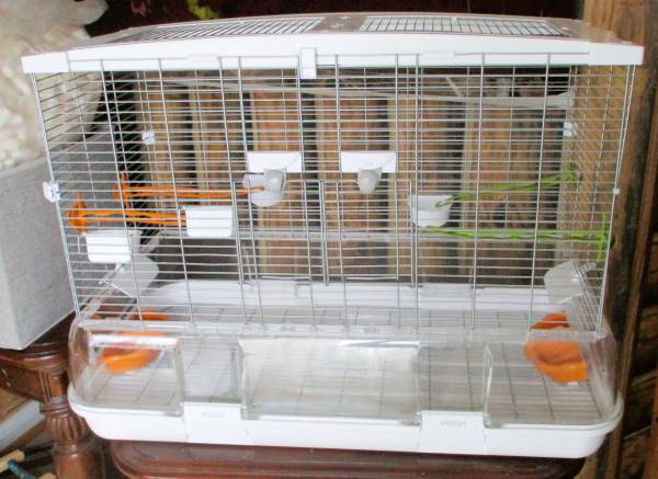 Large Vision Bird Cage 1