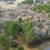 2.67 Acres Vacant Land - Sharptown 6 thumbnail