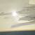 Signed and Numbered Limited Edition Print by Diana Wyeth Tyler 4 thumbnail