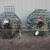 McKay No escape crab pot. Large. Weighted. Ready to fish. 2 thumbnail
