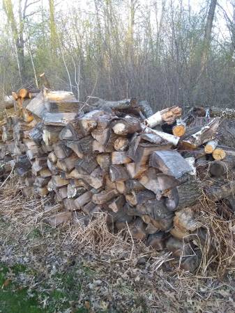 Firewood 1
