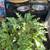 garage sale / yard sale / estate sales (Sylmar) 3 thumbnail
