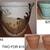 Plant Flower Pots 1 thumbnail