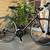 54cm Specialized Carbon Fiber Road Bike 1 thumbnail