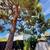 Open House tomorrow 11-1pm 5BD/2BA Large Eichler Single family 5BD/2BA 19 thumbnail