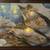 Light Up Canvas-$15 each 14 thumbnail