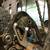 Giant Anthem X 29er w/ Shimano XTR -  Carbon Fiber ( 24.58 lbs) 3 thumbnail