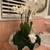 Real Orchid Flower Arrangement 4 thumbnail