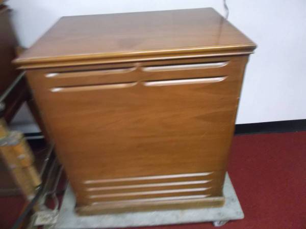 I  want   a  LESLIE  speaker    Look at the pictures. 1