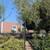 Olive Tree 8 thumbnail
