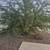Lawn maintenance & Trash hauling/ junk removal( FREE Estimates!)(El paso) 8 thumbnail