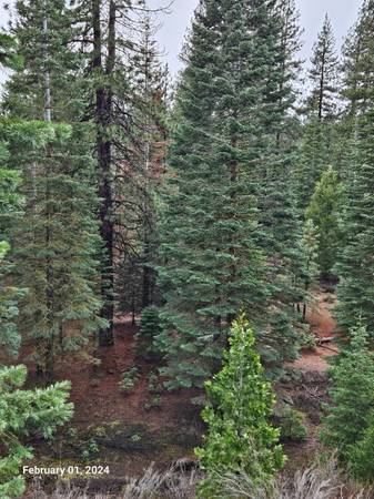 $39,900 1.4 Acres – Summit Dr, Mount Shasta – ¡Construye Tu Casa Soñada! (Mt. Shasta)63678201167235123