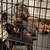 Crate/ Cage for DOBERMAN puppies 1 thumbnail