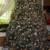 2- 9ft christmas trees 10 thumbnail