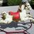 Vintage 1959 MOBO PRAIRIE KING English Metal Rocking Horse 6 thumbnail