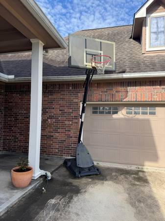 Bascket ball hoop 1