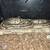 Lori Leopard Ball Python 2 thumbnail