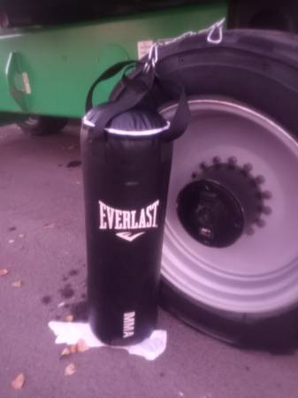 Everlast punching bag 1