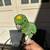 Amazon Parrot Yellow fronted Amazon 8 thumbnail