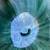 Vintage 70s Blue Mountain Pottery small fluted trinket, nut bowl 6 thumbnail