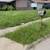 Yards 4 thumbnail