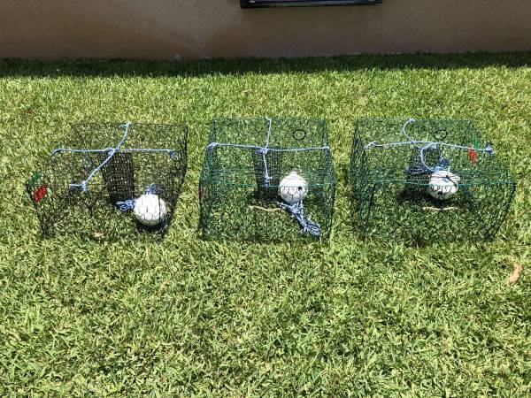 Crab Traps 1